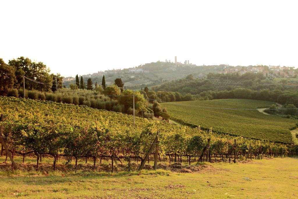 Podere Sant'Elena Сан Джиминяно Екстериор снимка